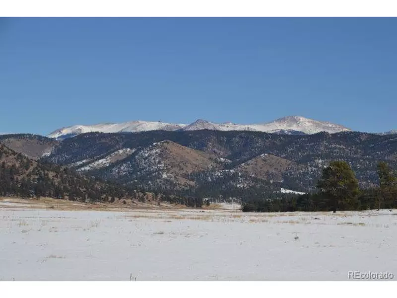 TBD Creekside Ln, Florissant, CO 80816