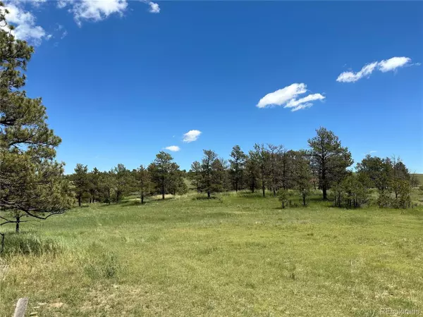 1 Cattle Circle, Ramah, CO 80832