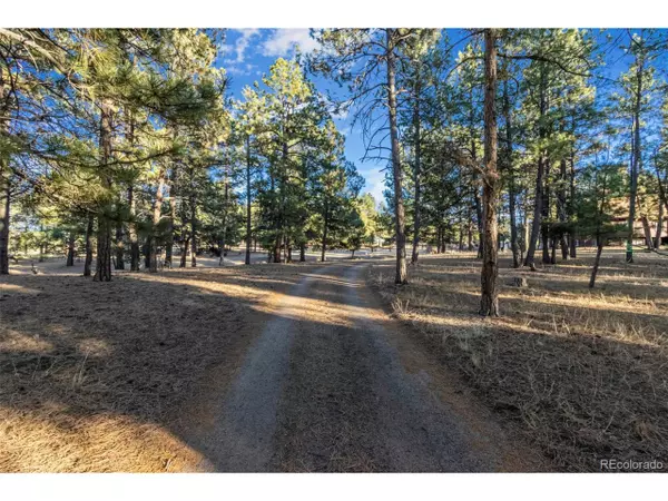 5250 Timber Pl, Elizabeth, CO 80107