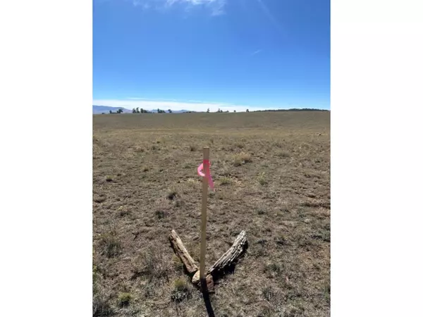 Hartsel, CO 80449,2418 Goldenburg Canyon Rd