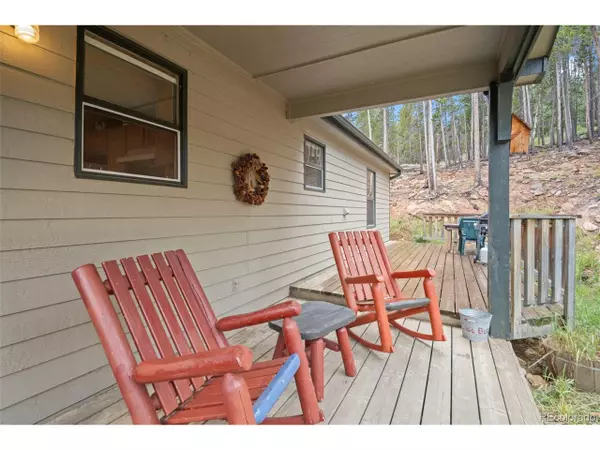 Evergreen, CO 80439,189 Sioux Trl