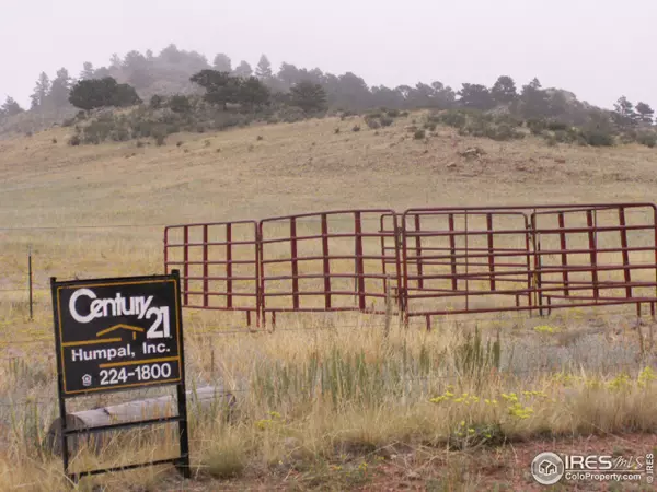 2176 Great Twins Rd, Livermore, CO 80536