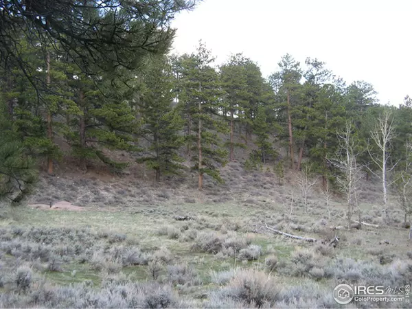 Red Feather Lakes, CO 80545,47 Iowa Ct