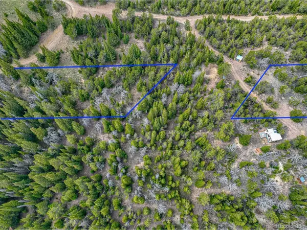 Black Hawk, CO 80422,123 Mosquito Creek Rd