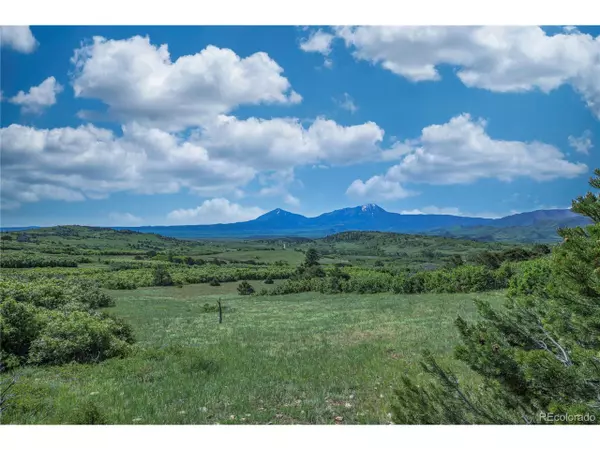 La Veta, CO 81055,US-160 Lot 1