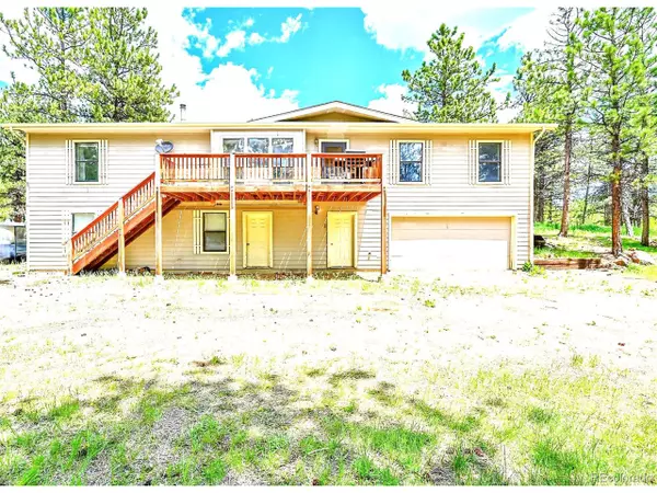 Bailey, CO 80421,56 Bounty Hunter Ln