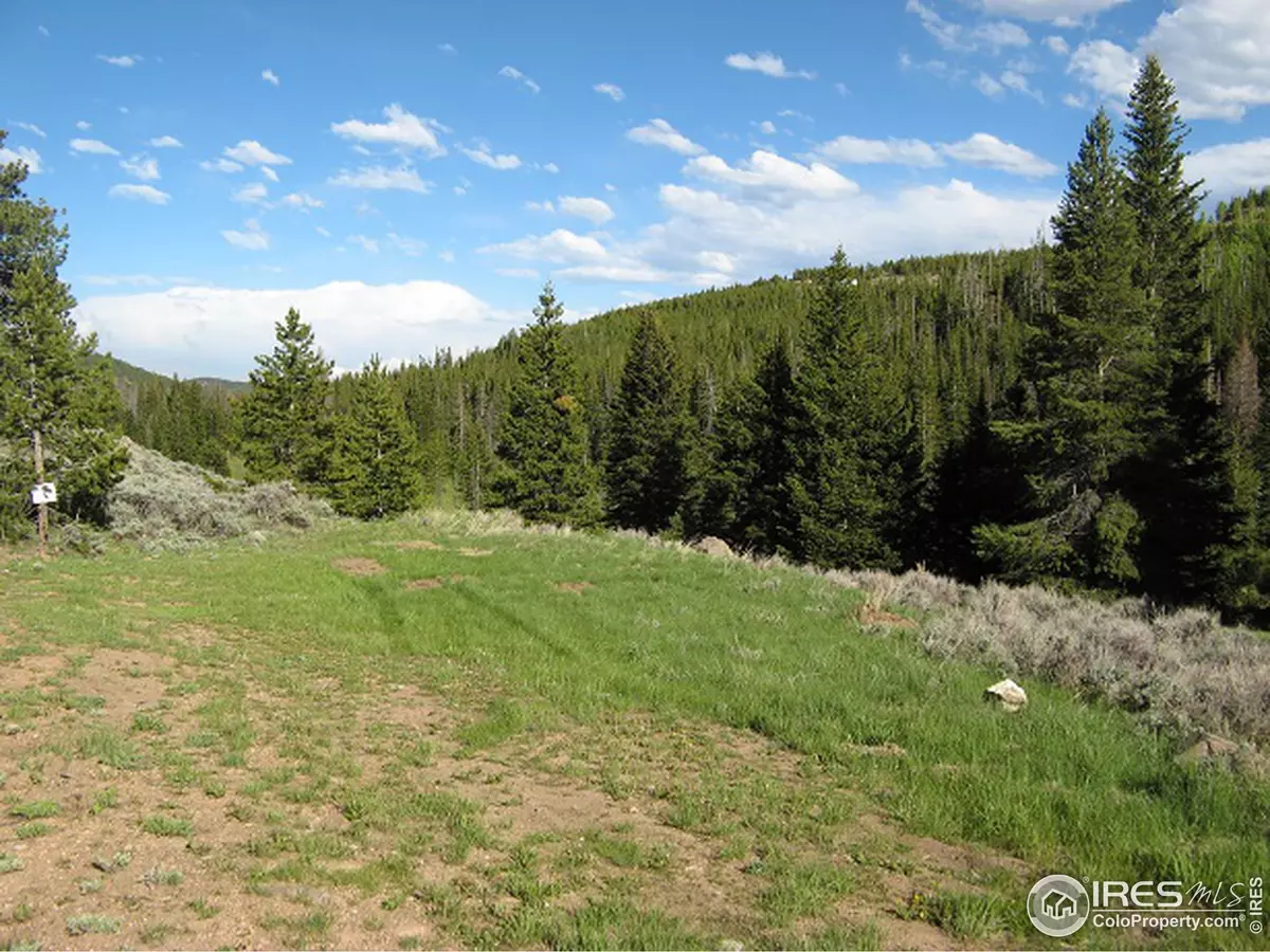 Red Feather Lakes, CO 80545,131 Serrano Ct