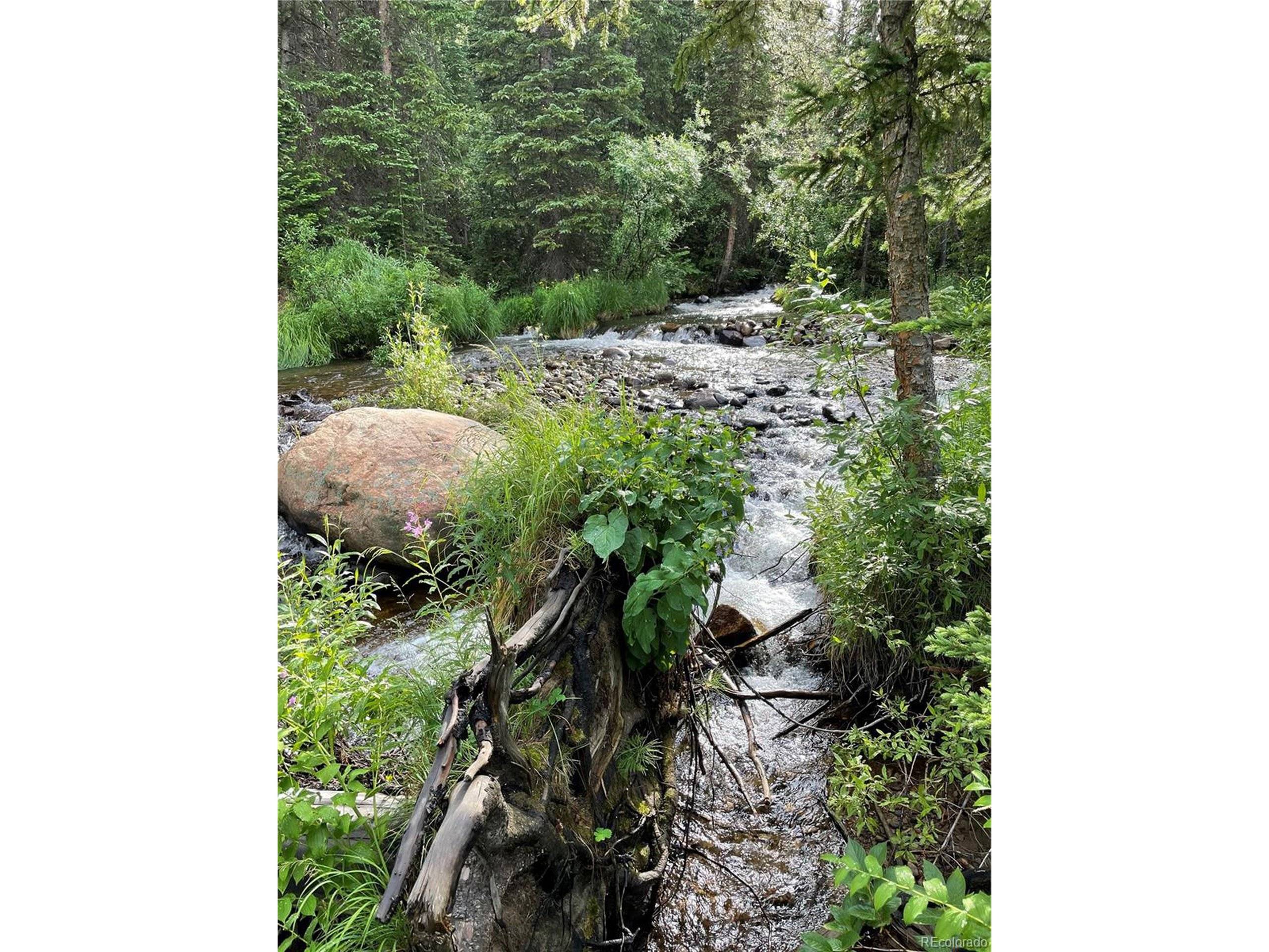 980 Rainbow Rd, Idaho Springs, CO 80452
