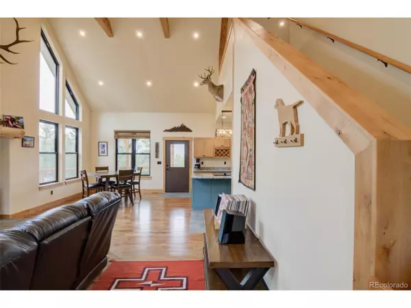 Buena Vista, CO 81211,30490 Harvard Cir