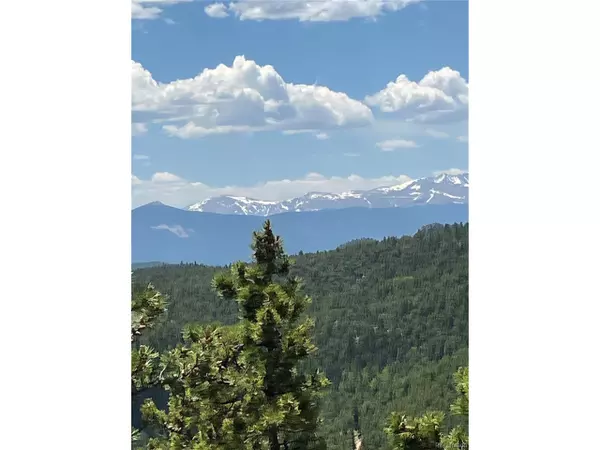 270 Aspen Meadow Ln, Black Hawk, CO 80422