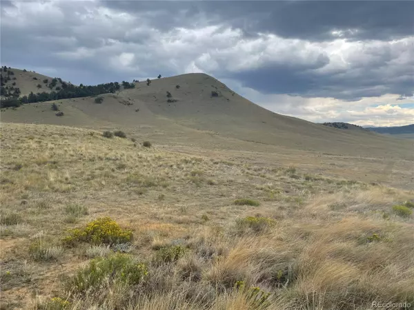 Como, CO 80432,368 Elkhorn View Dr