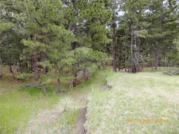 Kiowa, CO 80117,11829 Lasso Pl