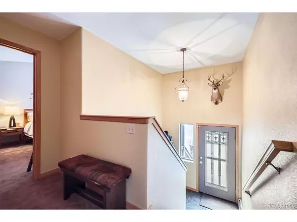 Frisco, CO 80443,803 Lakepoint Ct #B