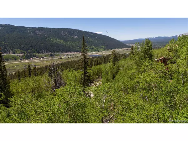 Fairplay, CO 80440,1255 Quartzville Rd