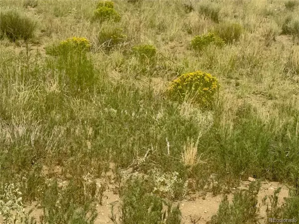 Blanca, CO 81123,10 LL 9th St