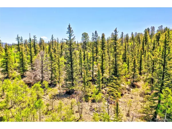 Como, CO 80432,445 Warpath Rd