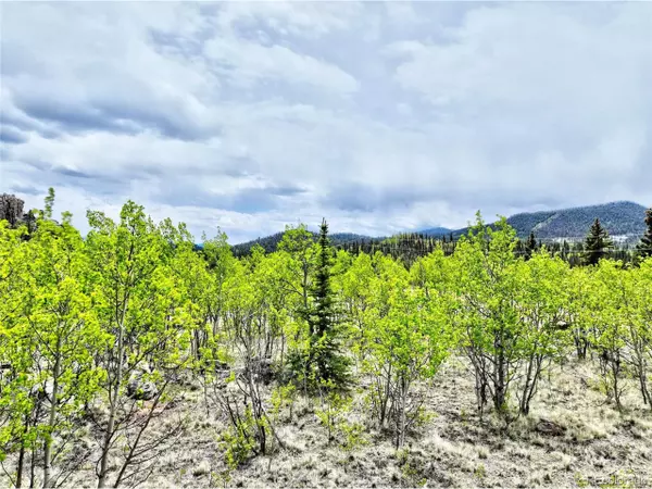 Jefferson, CO 80456,133 Highfill Rd