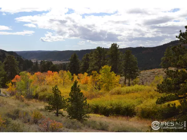 2891 County Road 59, Livermore, CO 80536