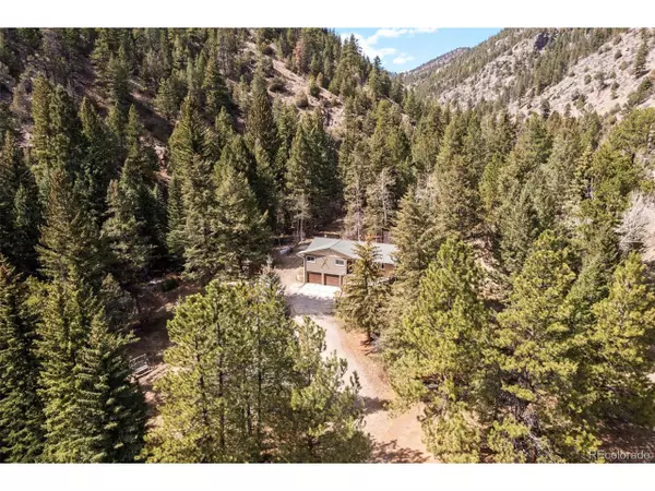 993 Fall River Rd, Idaho Springs, CO 80452