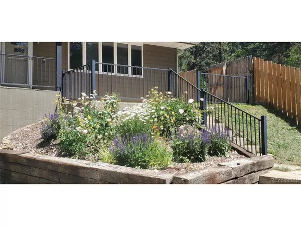 Idaho Springs, CO 80452,993 Fall River Rd