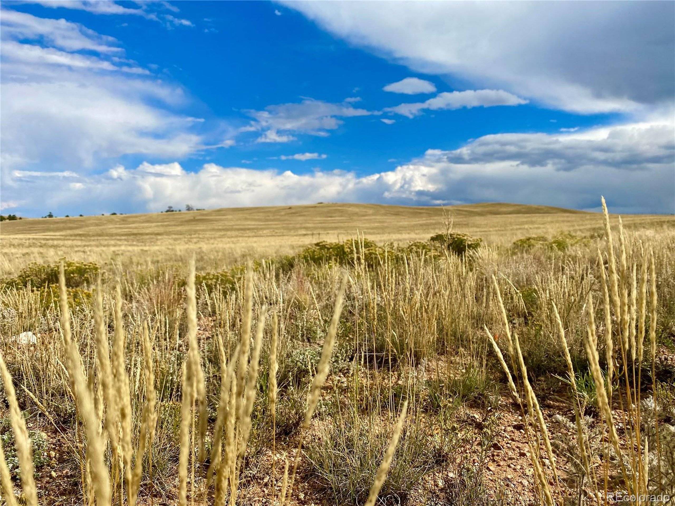 Hartsel, CO 80449,Sioux Rd