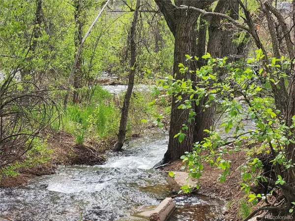 Palmer Lake, CO 80133,Address not disclosed