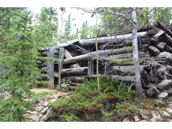 Black Hawk, CO 80422,5285 Lucy Agnes