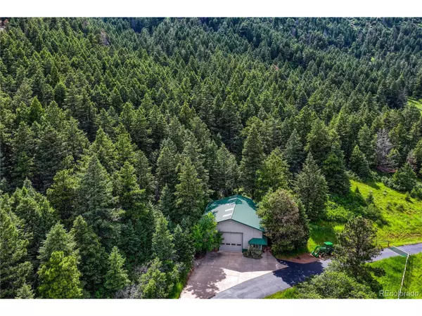 Palmer Lake, CO 80133,15533 S Perry Park Rd