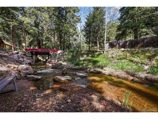 Conifer, CO 80433,27802 Shadow Mountain Dr