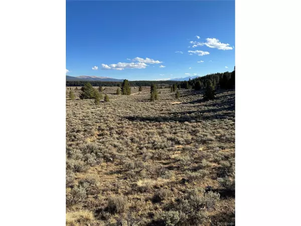 Leadville, CO 80461,1132 County Road 9a