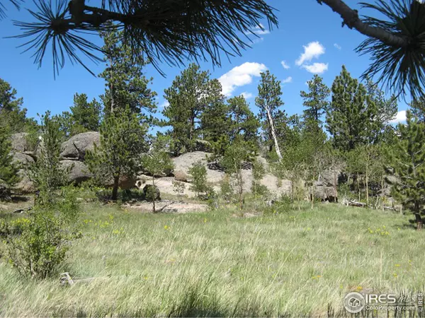 Red Feather Lakes, CO 80545,550 Tesuque Trl