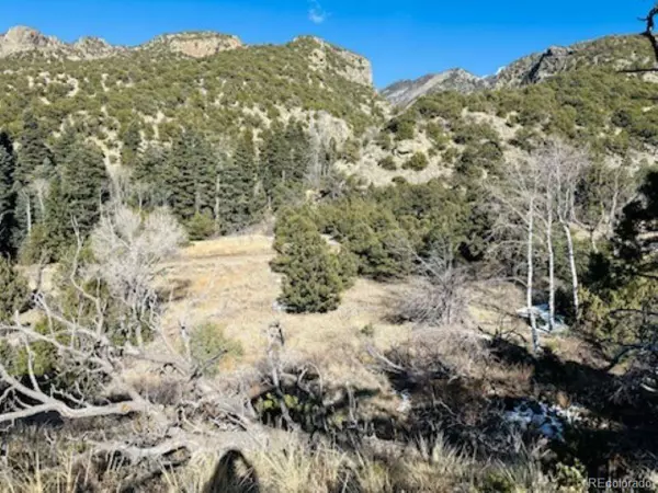 184 Cedar Ridge Road,  Mosca,  CO 81146
