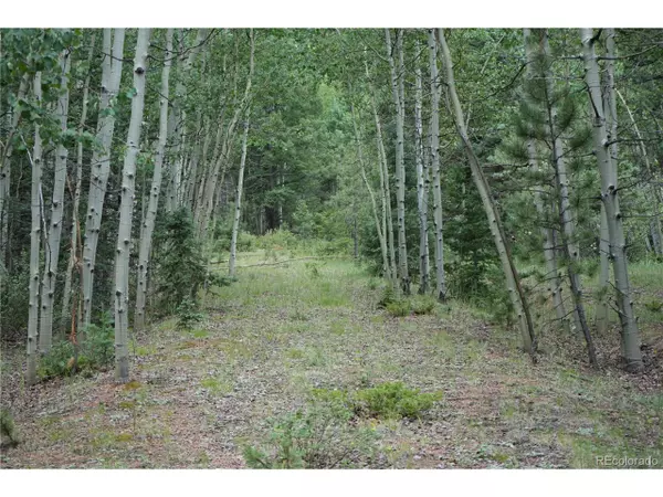 Cripple Creek, CO 80813,1406 Monarch Dr