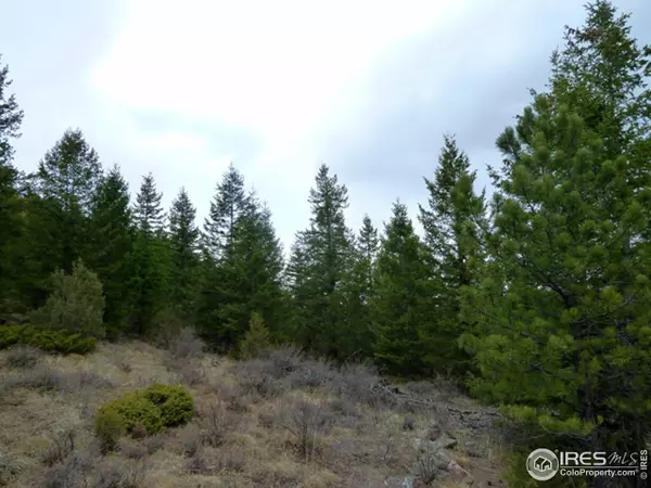 Livermore, CO 80536,Mountain Lion Track Ct
