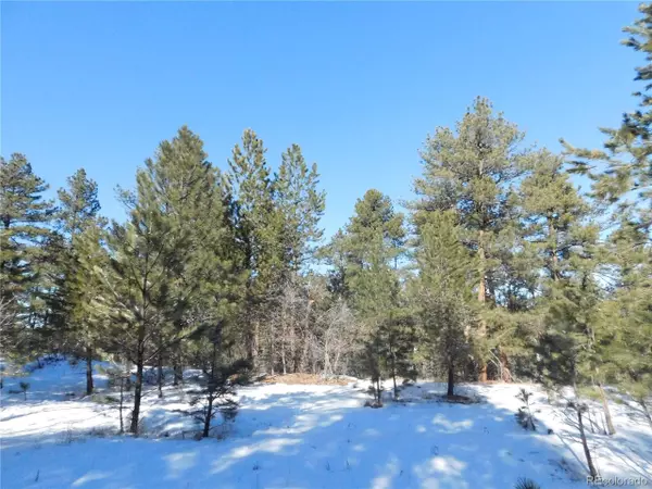 2301 Senecio Cir, Larkspur, CO 80118