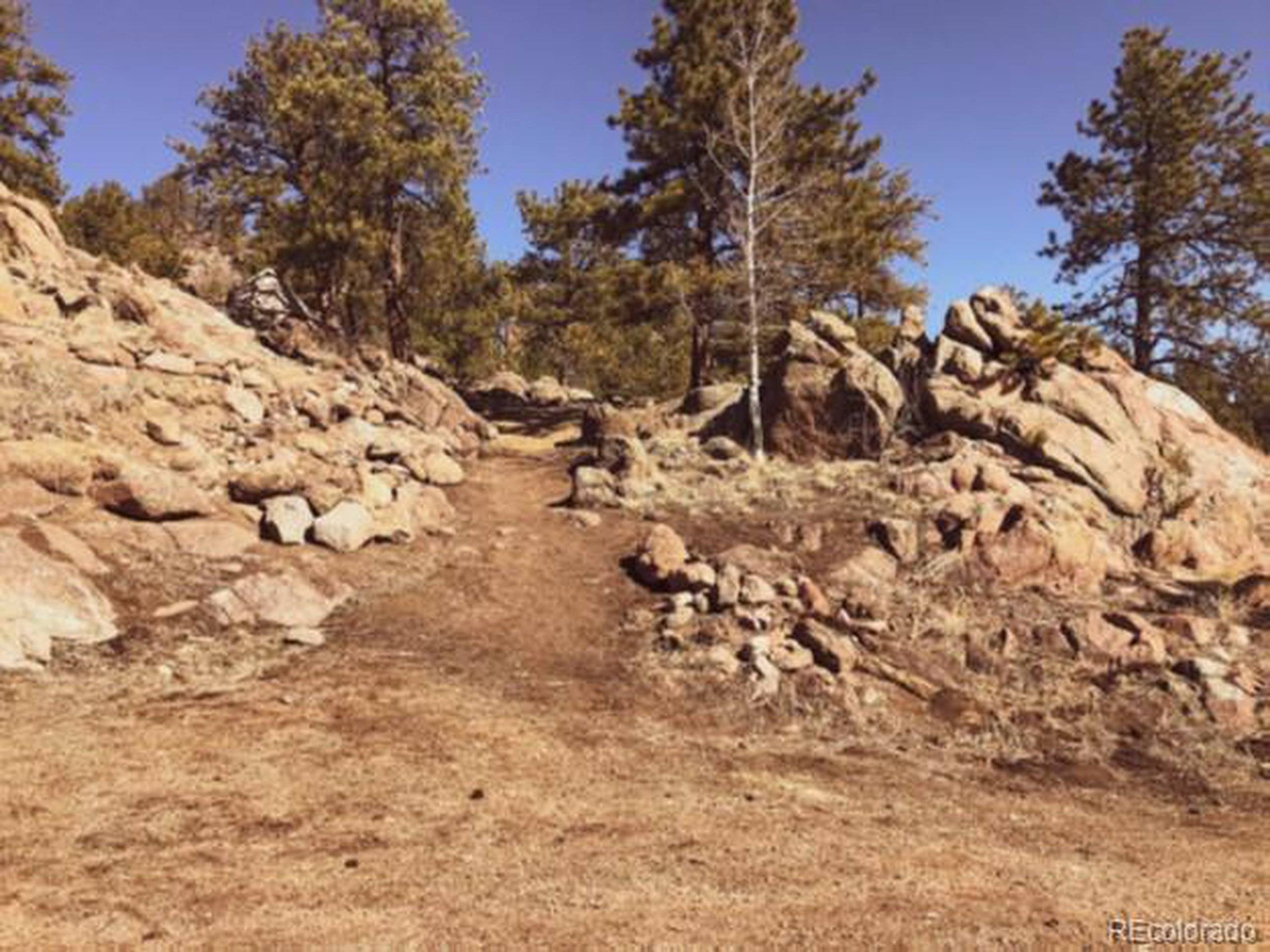 Florissant, CO 80816,5915 County Rd 11