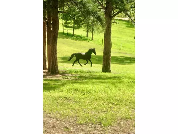 Evergreen, CO 80439,29263 Sue Rd