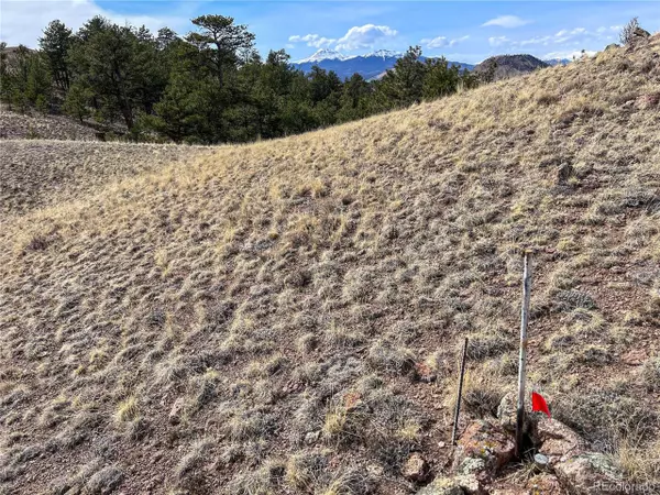 Hartsel, CO 80449,813 Corral Rd