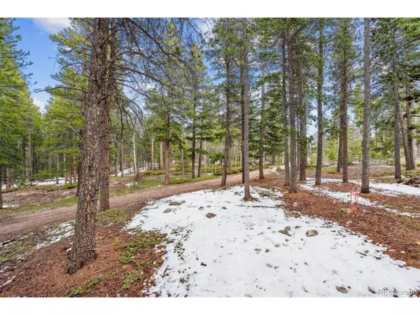 Ward, CO 80481,Rock Lake Rd