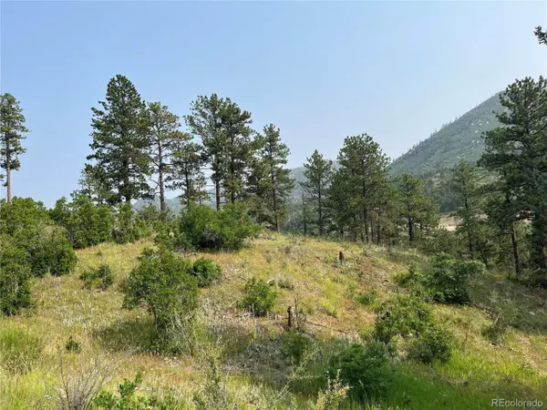 5330 Chipita Pines Dr, Cascade, CO 80809