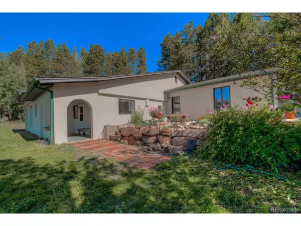 3128 Soda Springs Rd, Leadville, CO 80461