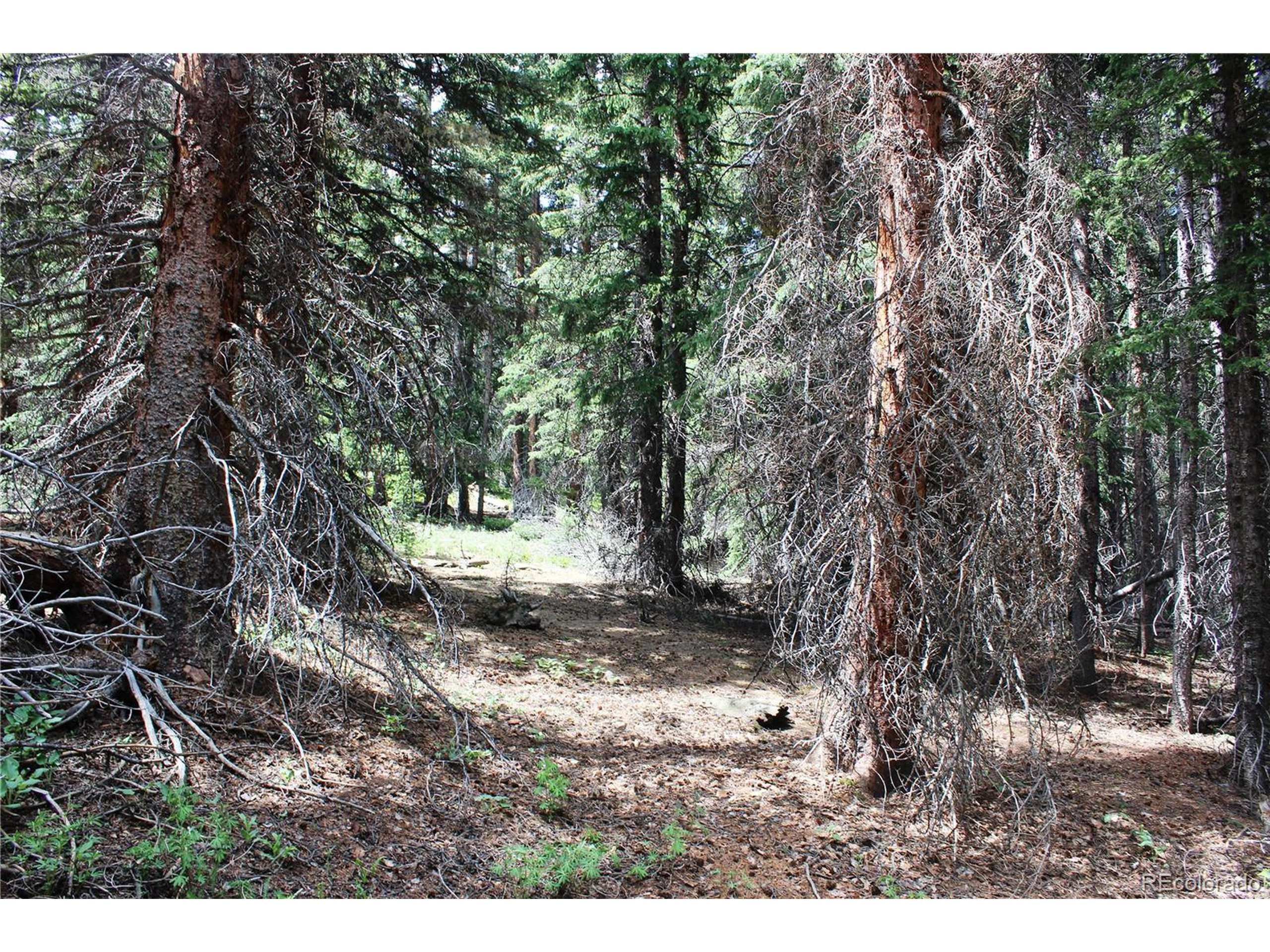 Idaho Springs, CO 80452,13 Lamartine Rd