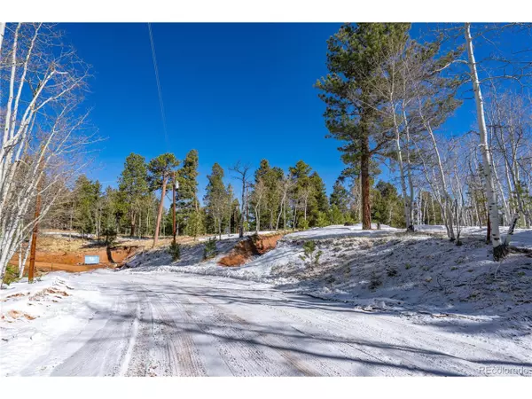 Florissant, CO 80816,126 Rampart Cir