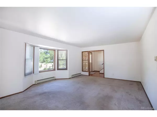 Buena Vista, CO 81211,15205 County Road 353