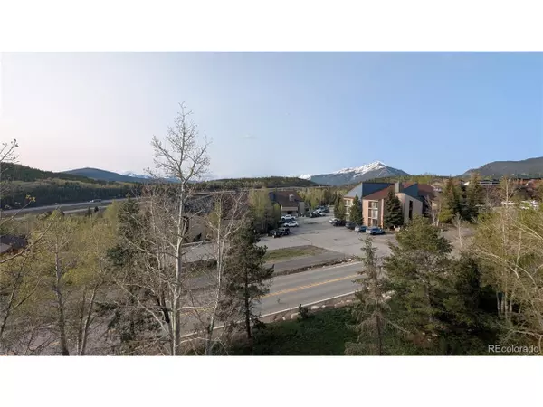 Silverthorne, CO 80498,2710 Ryan Gulch Rd #2731