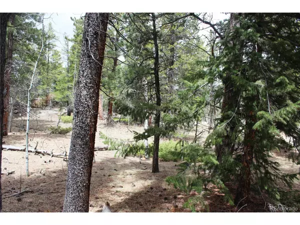 Black Hawk, CO 80422,10 Pinon Cir