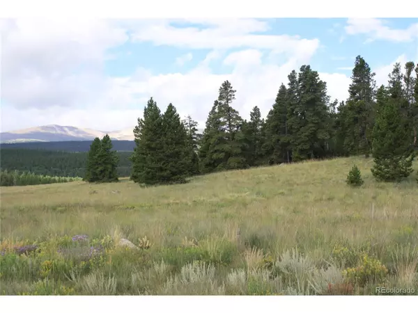 Alma, CO 80420,51 Potentilla Rd