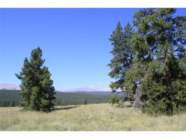 Alma, CO 80420,51 Potentilla Rd