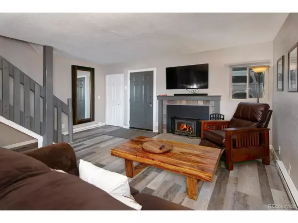 Silverthorne, CO 80498,6954 Ryan Gulch Rd