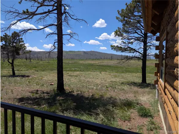 Fort Garland, CO 81133,1456 Von Heyl Ln